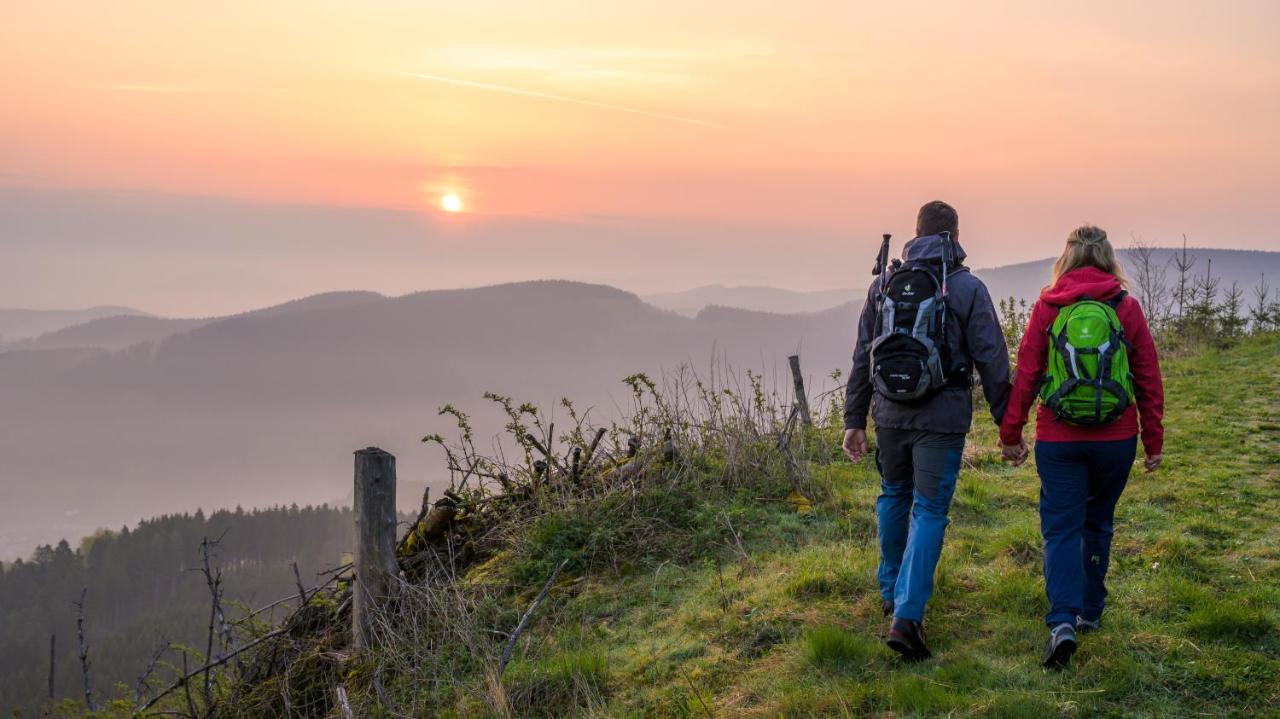 Hotel Tiefenhagen Sauerland Lennestadt Ngoại thất bức ảnh