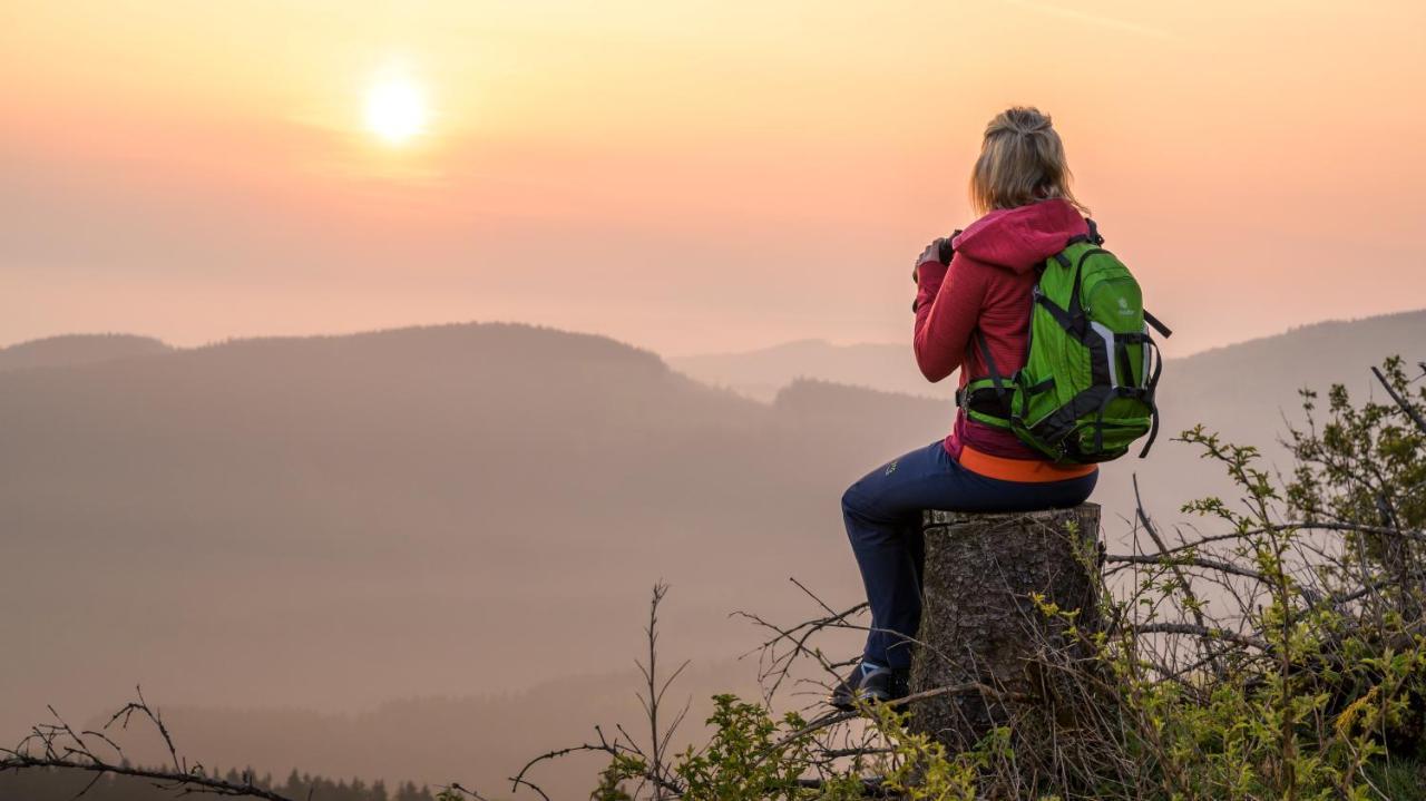 Hotel Tiefenhagen Sauerland Lennestadt Ngoại thất bức ảnh